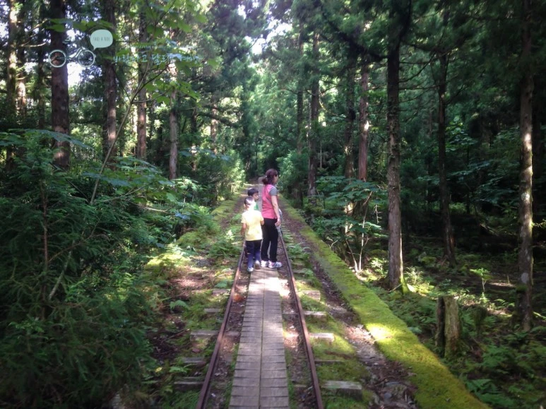 IMG_1270_wide1080.jpg?type=w773