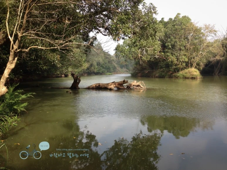 IMG_2812.jpg?type=w773