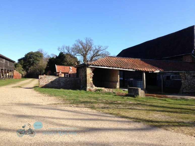 IMG_1594.jpg?type=w773