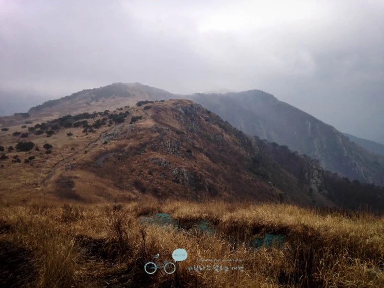 IMG_1909-_Wide1080mark.jpg?type=w773