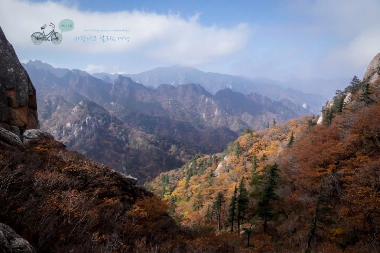 DSC05450_wide1080mark.jpg?type=w773