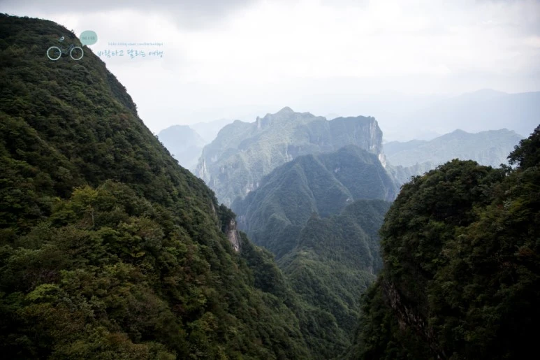 IMG_0315_Wide1080mark%EB%B0%94%EB%9E%8C.jpg?type=w773