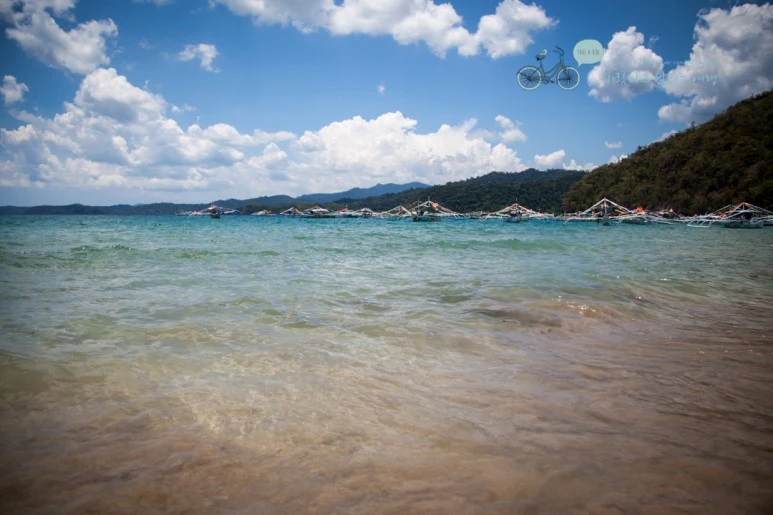 IMG_2054_Wide1080mark%EB%B0%94%EB%9E%8C%ED%83%80%EA%B3%A0.jpg?type=w773