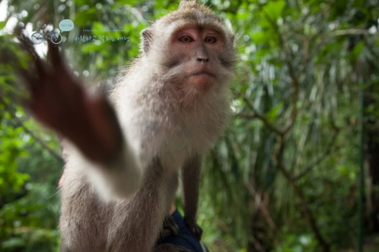 IMG_0148_Wide1080mark%EB%B0%94%EB%9E%8C%ED%83%80%EA%B3%A0-3.jpg?type=w773