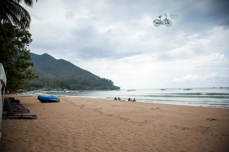 IMG_0457_Wide1080mark%EB%B0%94%EB%9E%8C%ED%83%80%EA%B3%A0.jpg?type=w773