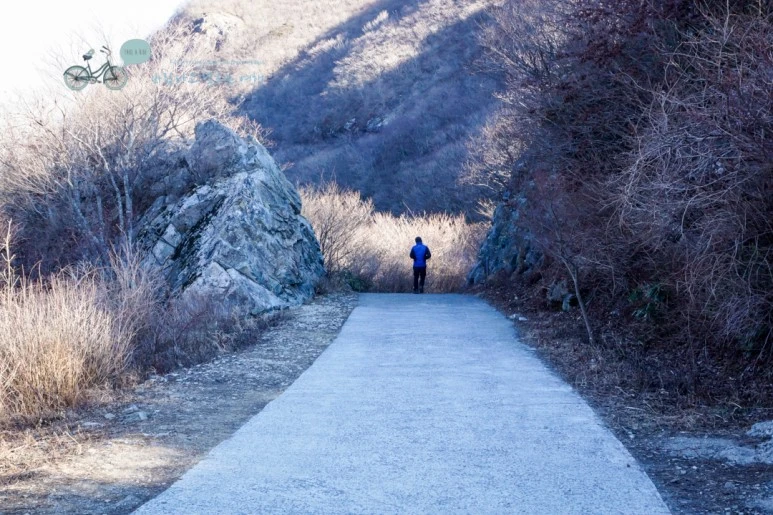 DSC04511_wide1080mark.jpg?type=w773