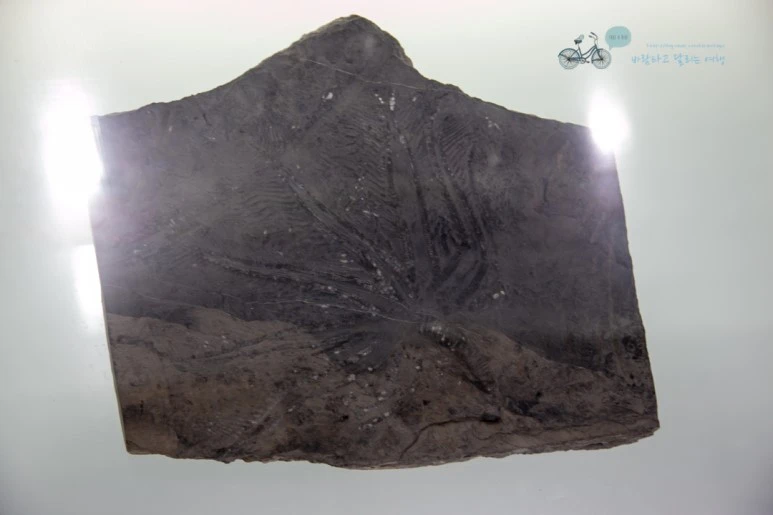 IMG_1395_Wide1080mark%EB%B0%94%EB%9E%8C.jpg?type=w773