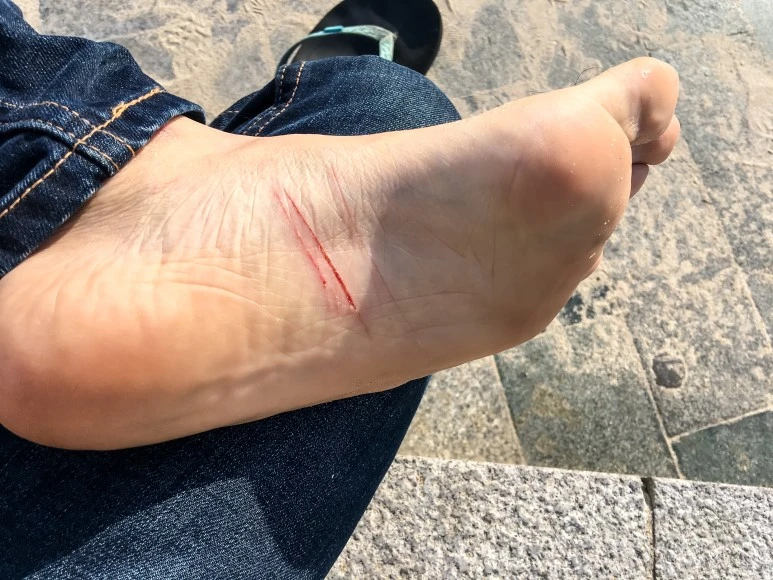 IMG_3478_Edit.jpg?type=w773