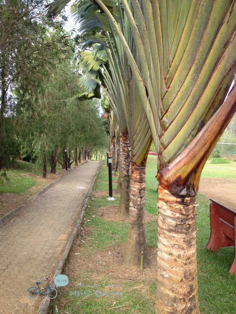 IMG_2818.jpg?type=w773