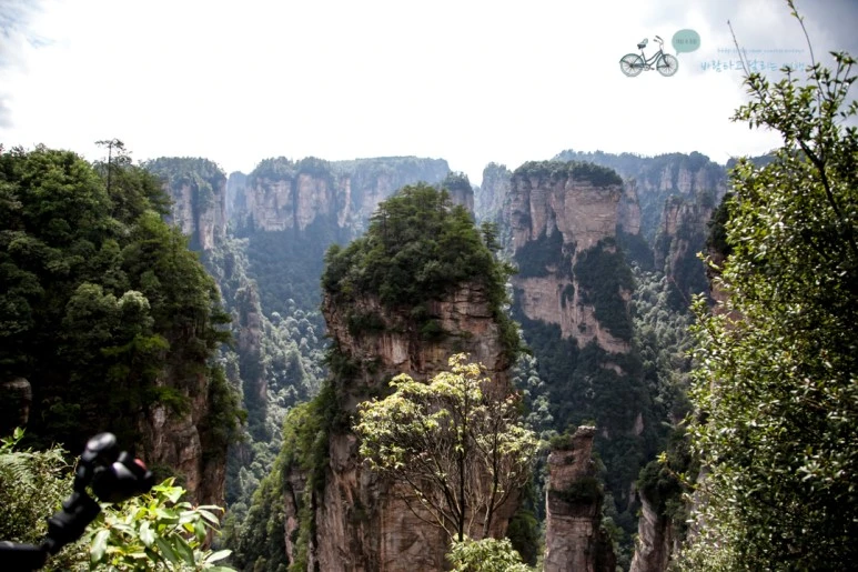 IMG_1302_Wide1080mark%EB%B0%94%EB%9E%8C.jpg?type=w773