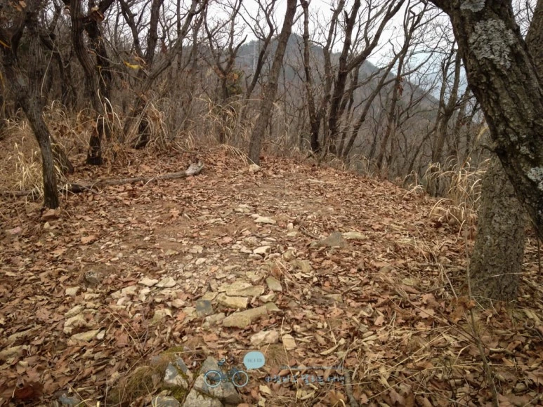 IMG_1444-_Wide1080mark.jpg?type=w773