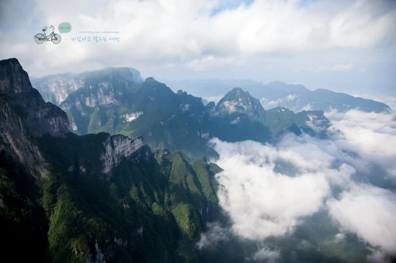 IMG_0144_Wide1080mark%EB%B0%94%EB%9E%8C.jpg?type=w773