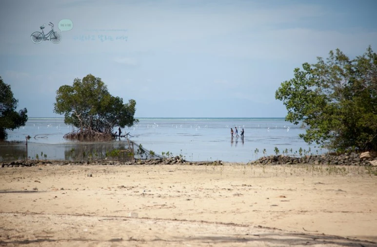 IMG_1081_Wide1080mark%EB%B0%94%EB%9E%8C%ED%83%80%EA%B3%A0.jpg?type=w773