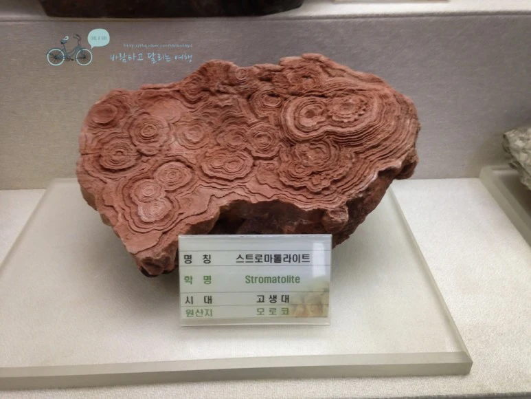 IMG_1794_wide1080mark.jpg?type=w773