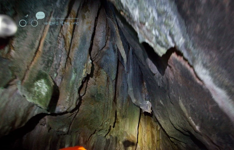 IMG_2128_Wide1080mark%EB%B0%94%EB%9E%8C%ED%83%80%EA%B3%A0.jpg?type=w773