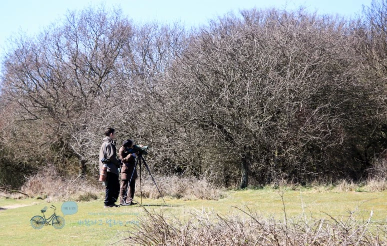 IMG_3739.jpg?type=w773