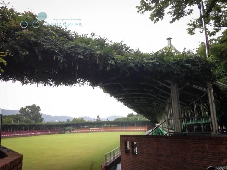 IMG_1647_wide1080mark.jpg?type=w773