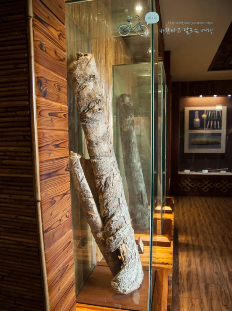 IMG_0208_wide1080%EB%B0%94%EB%9E%8Cmark.jpg?type=w773