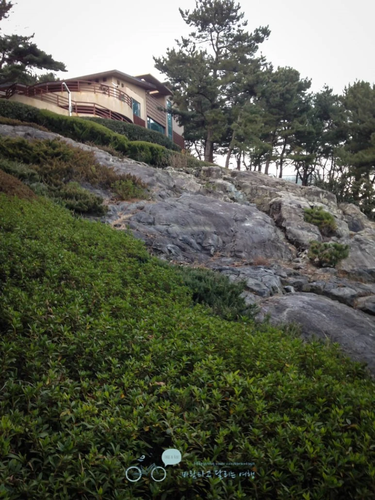 IMG_1234-_Wide1080mark%EB%B0%94%EB%9E%8C.jpg?type=w773