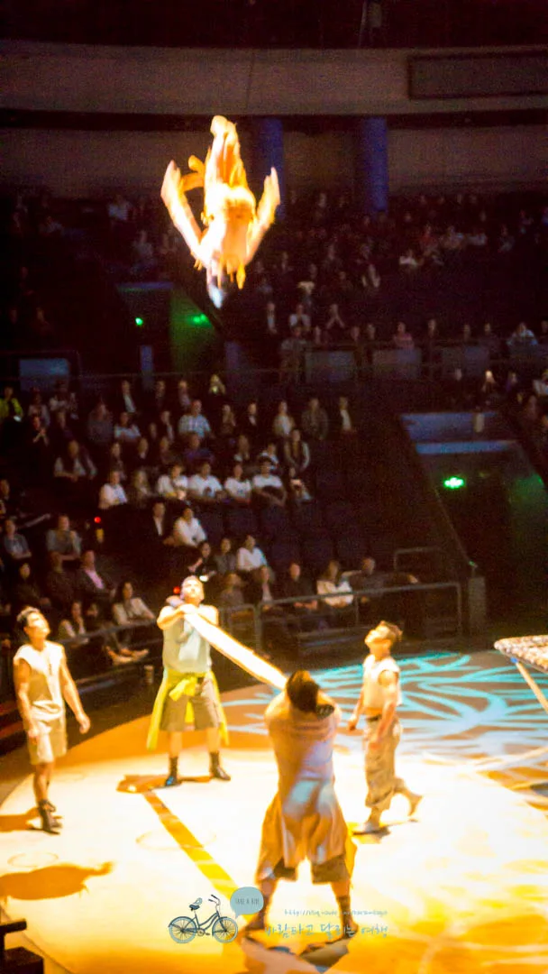 DSC05385_wide1080mark%EB%B0%94%EB%9E%8C.jpg?type=w773