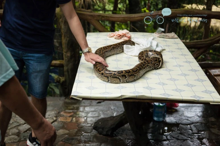 IMG_0415_wide1080%EB%B0%94%EB%9E%8Cmark.jpg?type=w773