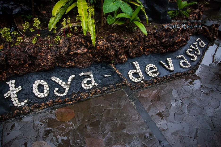 5D_IMG_1850_Short1200mark%EB%B0%94%EB%9E%8C.jpg?type=w1