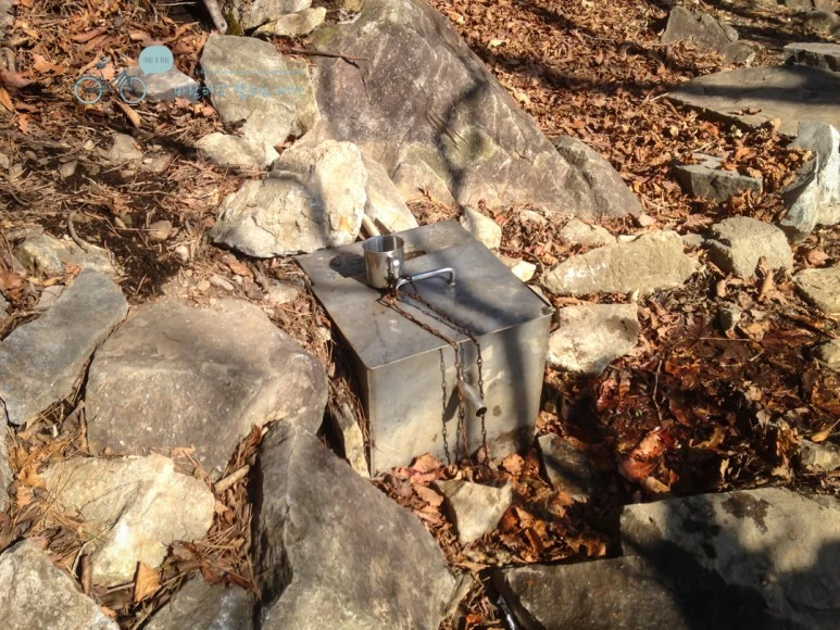 IMG_0213_wide1080mark.jpg?type=w773