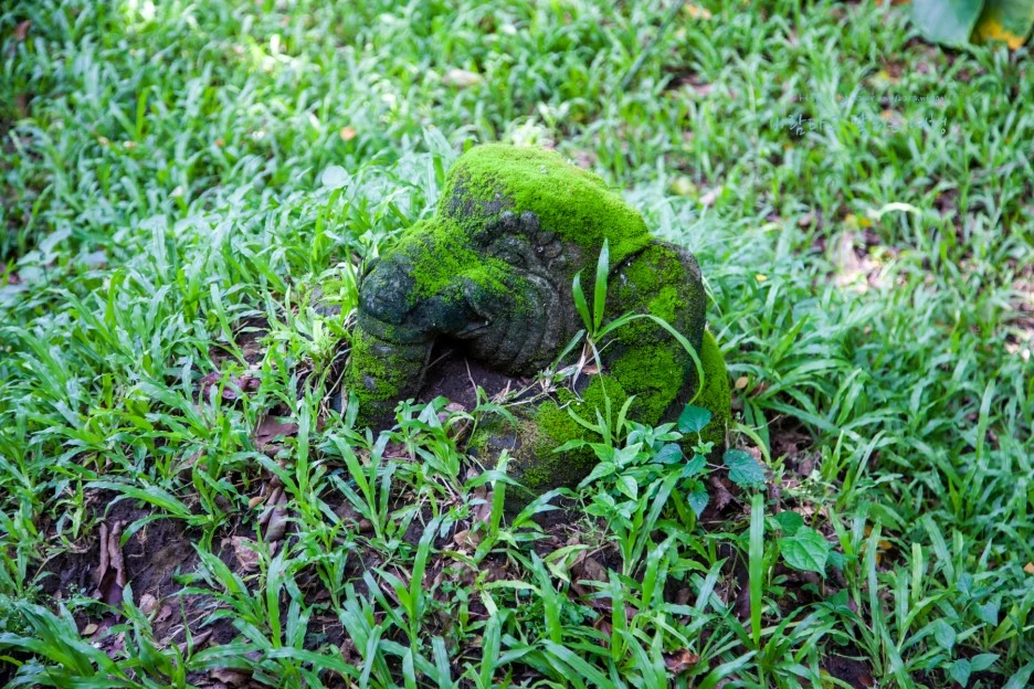 5D_IMG_2624_Short1200mark%EB%B0%94%EB%9E%8C.jpg?type=w1