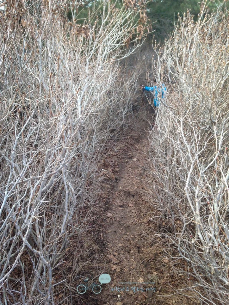 IMG_1608-_Wide1080mark.jpg?type=w773