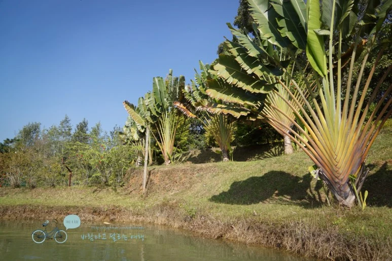 DSC00001.jpg?type=w773