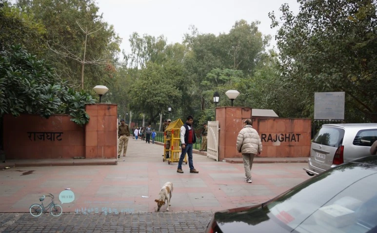 DSC00074.jpg?type=w773