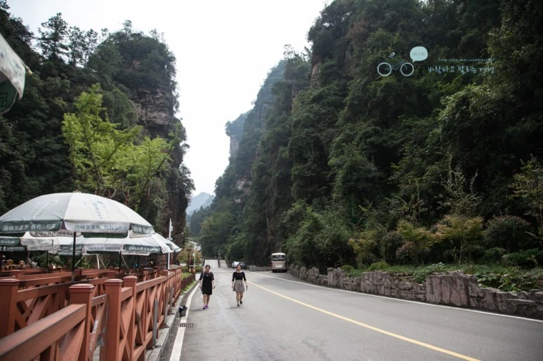 IMG_1298_Wide1080mark%EB%B0%94%EB%9E%8C.jpg?type=w773