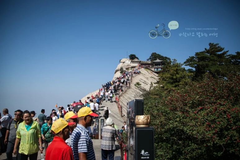 IMG_0172_Wide1080_mark%EB%B0%94%EB%9E%8C.jpg?type=w773