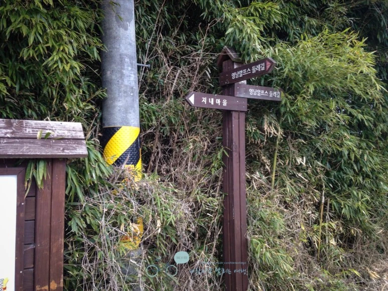 IMG_1881-_Wide1080mark.jpg?type=w773