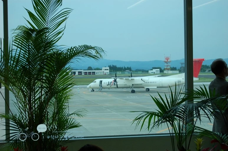 005%B0%A1%B0%ED%BD%C3%B8%B6%B0%F8%C7%D7-%BE%DF%C4%ED%BD%C3%B8%B6%C7%E0%BA%F1%C7%E0%B1%E2.jpg?type=w773