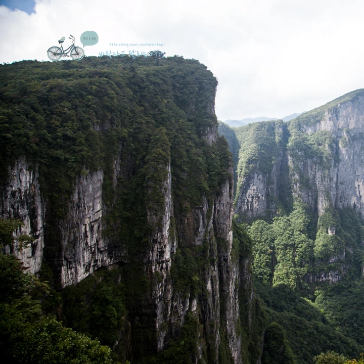 image_4489504701525241980981.jpg?type=w773