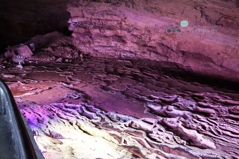 IMG_1175_Wide1080mark%EB%B0%94%EB%9E%8C.jpg?type=w773