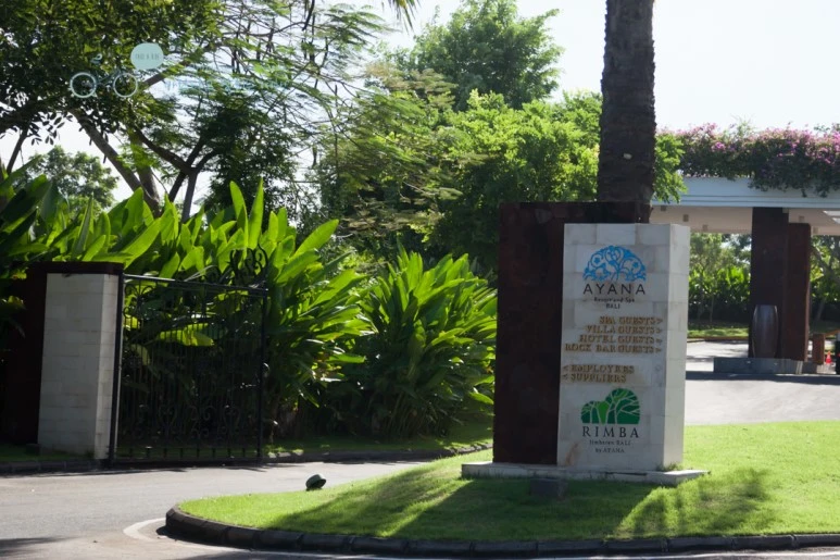 IMG_0536%EB%A6%BC%EB%B0%94_%EC%9E%85%EA%B5%AC_Wide1080mark%EB%B0%94%EB%9E%8C%ED%83%80%EA%B3%A0.jpg?type=w773