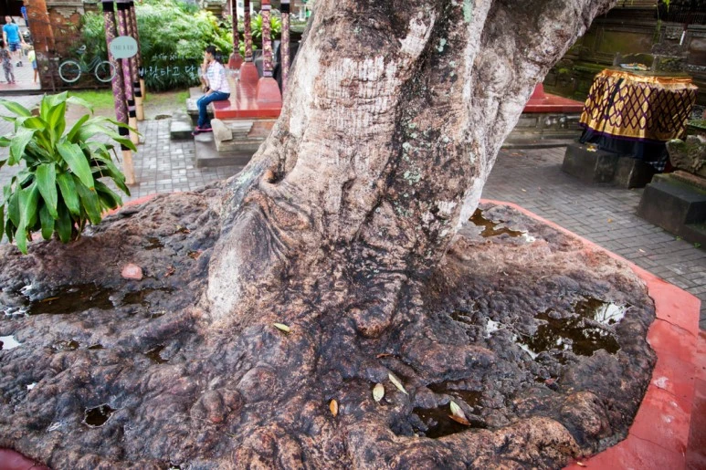 IMG_0308_Wide1080mark%EB%B0%94%EB%9E%8C%ED%83%80%EA%B3%A0-3.jpg?type=w773