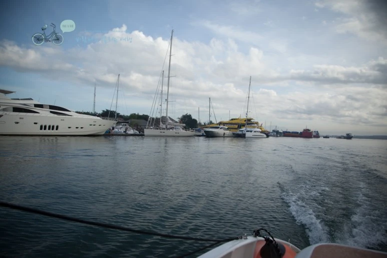 IMG_0026_Wide1080mark%EB%B0%94%EB%9E%8C%ED%83%80%EA%B3%A0-2.jpg?type=w773