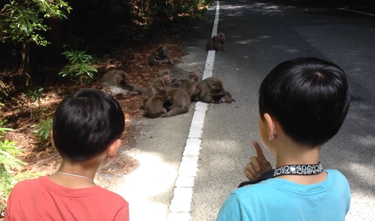 %EC%8A%A4%ED%81%AC%EB%A6%B0%EC%83%B7_2017-02-09_13.19.33.png?type=w773