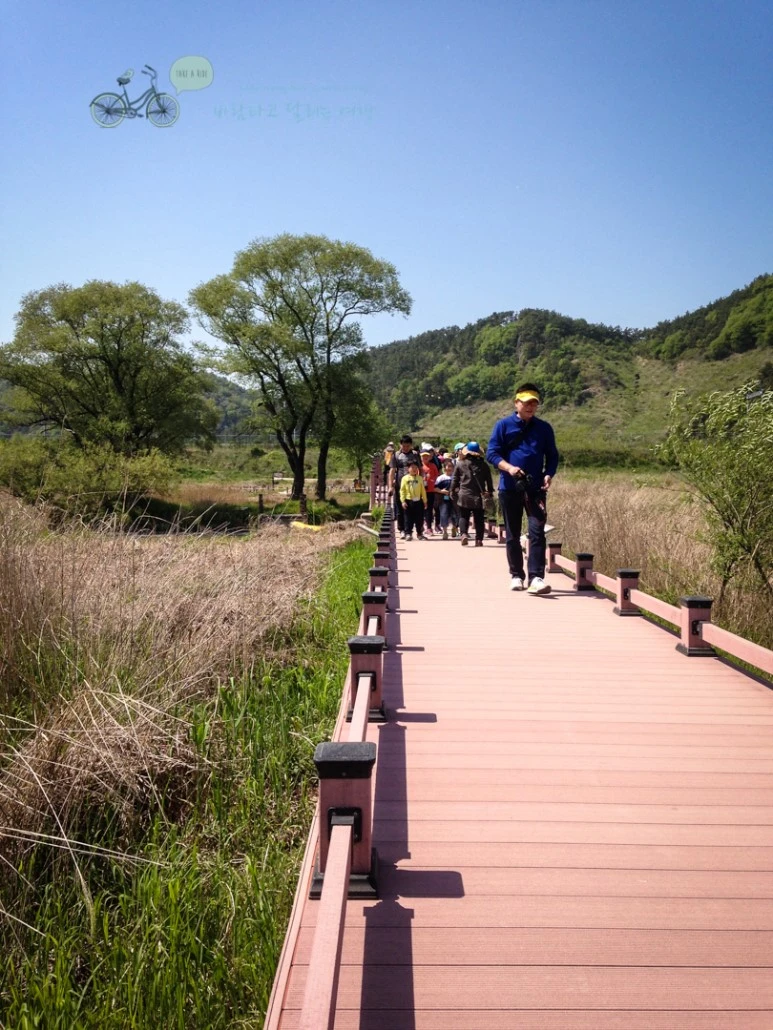 IMG_0751_wide1080mark.jpg?type=w773