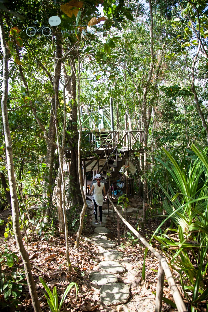 IMG_2269_Wide1080mark%EB%B0%94%EB%9E%8C%ED%83%80%EA%B3%A0.jpg?type=w773