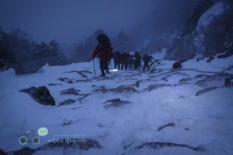 DSC00187.jpg?type=w773