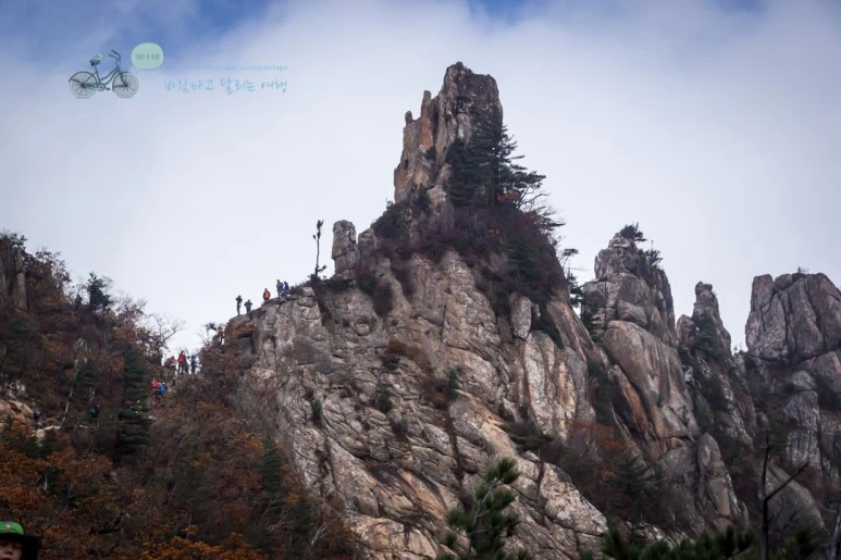 DSC05475_wide1080mark.jpg?type=w773