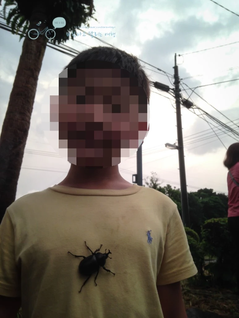 image_8065823781486454628625.jpg?type=w773