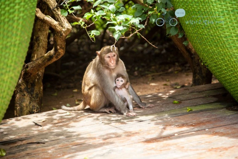 IMG_1298_wide1080%EB%B0%94%EB%9E%8Cmark.jpg?type=w773