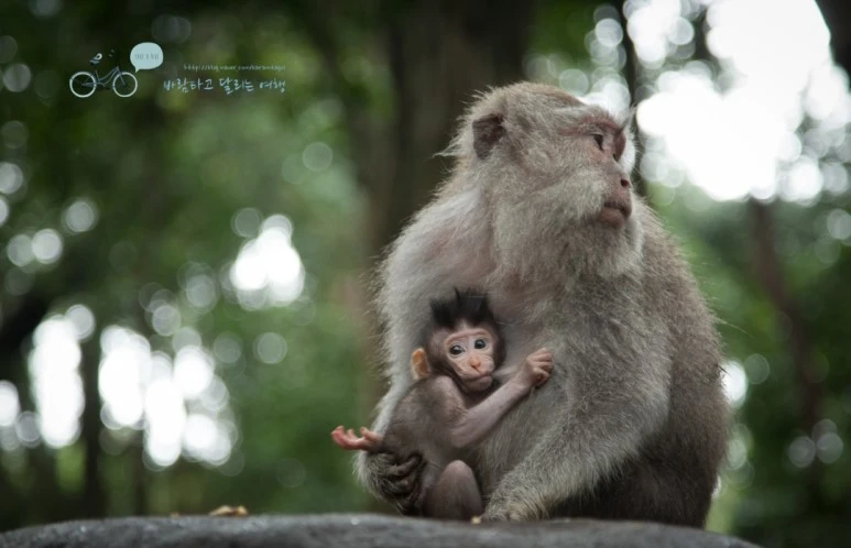 IMG_0110_Wide1080mark%EB%B0%94%EB%9E%8C%ED%83%80%EA%B3%A0-2.jpg?type=w773