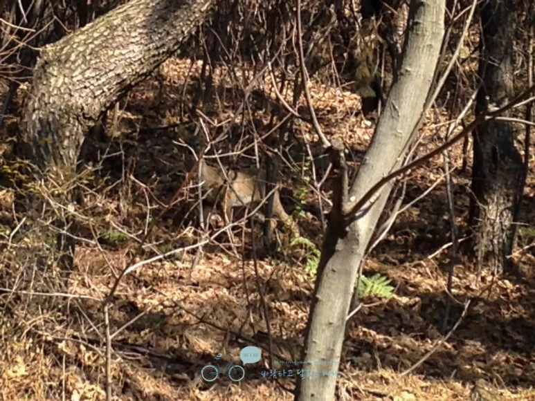 IMG_1182-_Wide1080mark%EB%B0%94%EB%9E%8C.jpg?type=w773