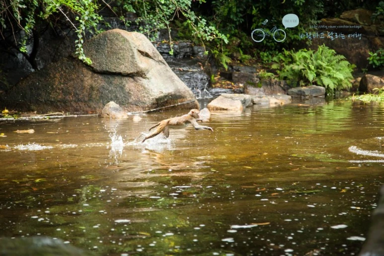 IMG_1410_wide1080%EB%B0%94%EB%9E%8Cmark.jpg?type=w773